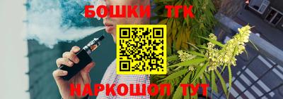 индика Заводоуковск