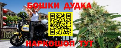 индика Заводоуковск