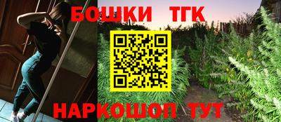 индика Заводоуковск