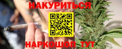 индика Заводоуковск