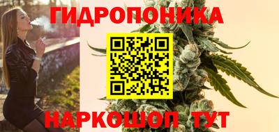 индика Заводоуковск