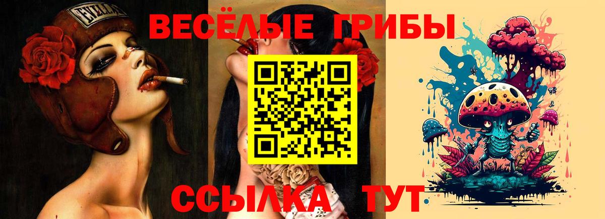 Нижний Новгород  Галлюциногенные грибы GOLDEN TEACHER  Вход с VPN 